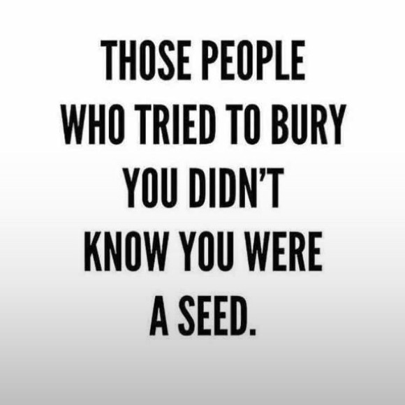 Meet your Posher, N - Picture 4 of 4